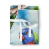 Pionus Apron Cooking Kitchen Server Baking Crafts Gardening for Adult Women Men, Unisex, Large, Multicolor