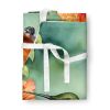 Rufous Hummingbird Apron Cooking Kitchen Server Baking Crafts Gardening for Adult Women Men, Unisex, Large, Multicolor